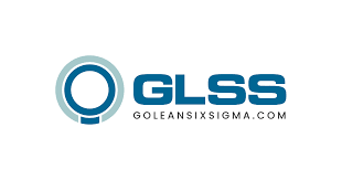 GoLeanSixSigma screenshot