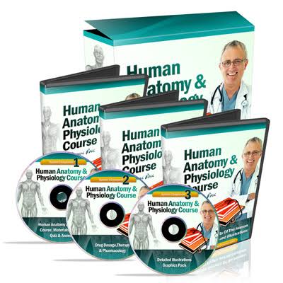 Human Anatomy Course screenshot