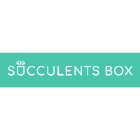 Succulents Box screenshot